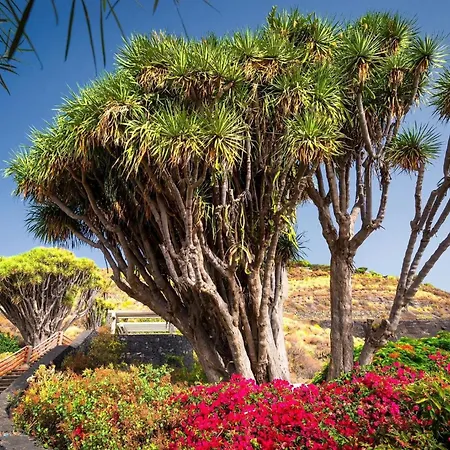 Casa Lucia Сasa de vacaciones Breña Baja